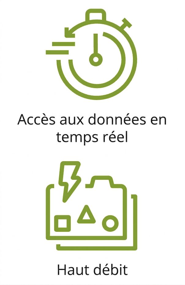 Deux icônes représentant l'accès en temps réel et un débit élevé.