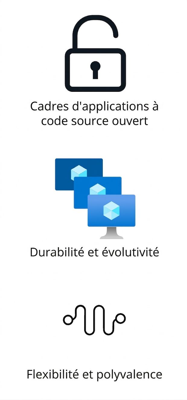 Icônes montrant des cadriciels ouverts, la robustesse et l'évolutivité, et la flexibilité.