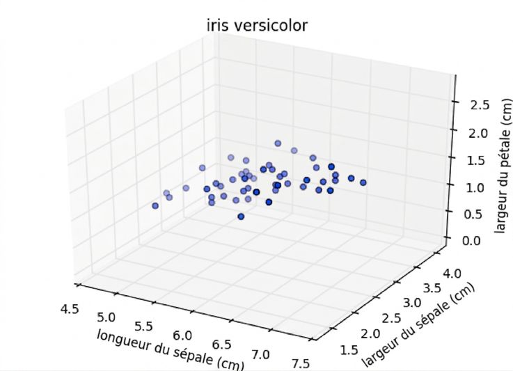 Points versicolor tracés en 3D : longueur du sépale vs largeur du sépale vs largeur du pétale