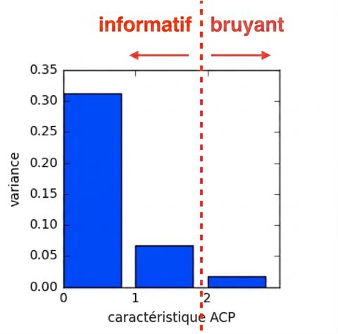Diagramme à barres : numéro de caractéristique PCA vs variance, ligne verticale entre 1 et 2, flèche gauche « informative », flèche droite « bruyante »