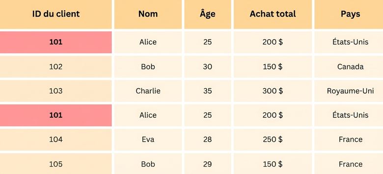 Table des doublons avec l'ID client en surbrillance.