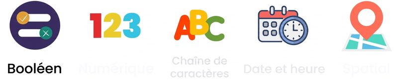 Images de types de données n'affichant que le texte Boolean