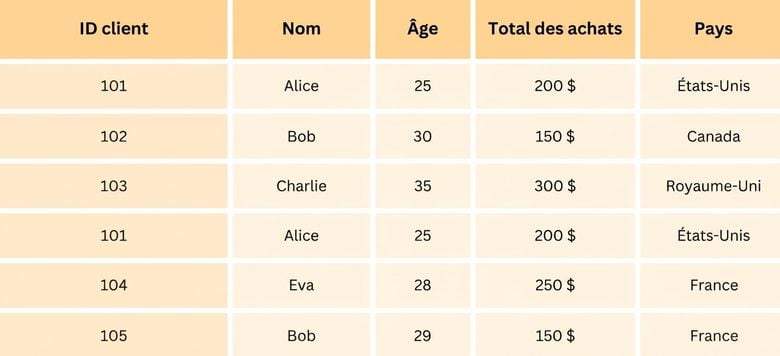 Ensemble de données d'épicerie en ligne.png