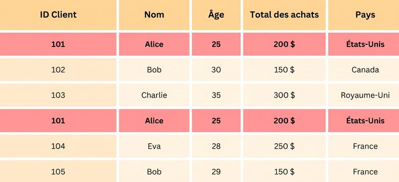 Lignes en double en surbrillance dans des données d'exemple.png