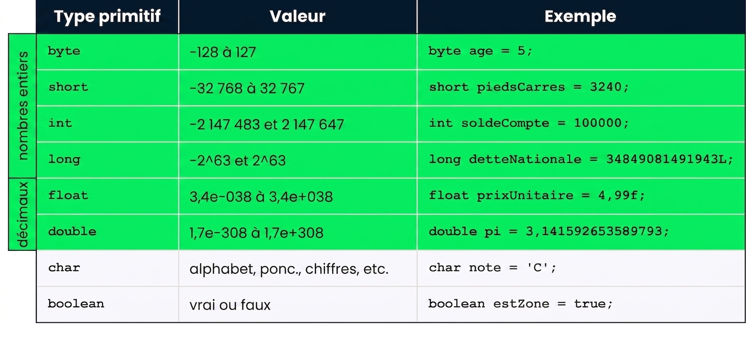 byte, short, int, long, float et double mis en évidence pour cette vidéo