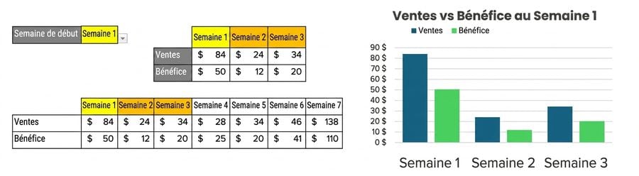 Gif presenting the table and chart dynamic combination