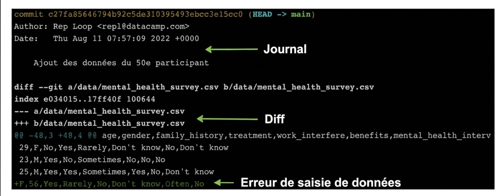 sortie de git show affichant la sortie de git log en haut et celle de git diff en dessous, avec la saisie erronée au bas