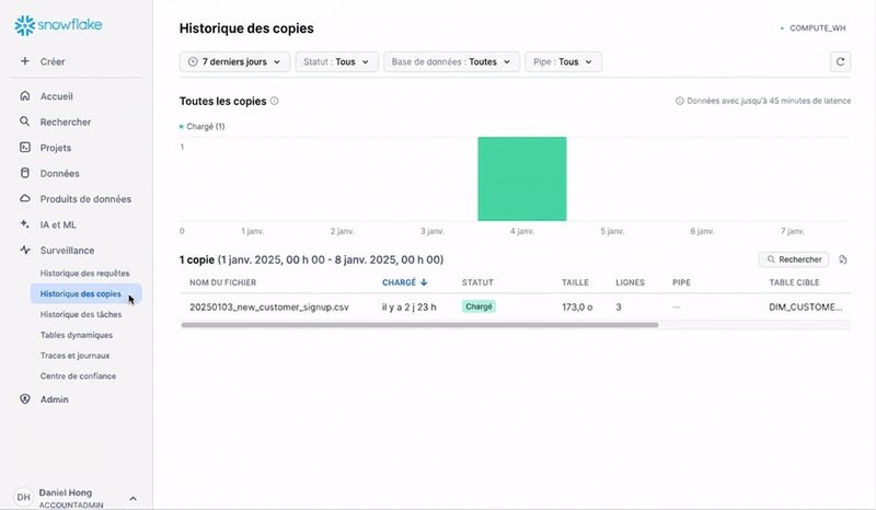 GIF : afficher l'historique des copies dans l'onglet Monitoring