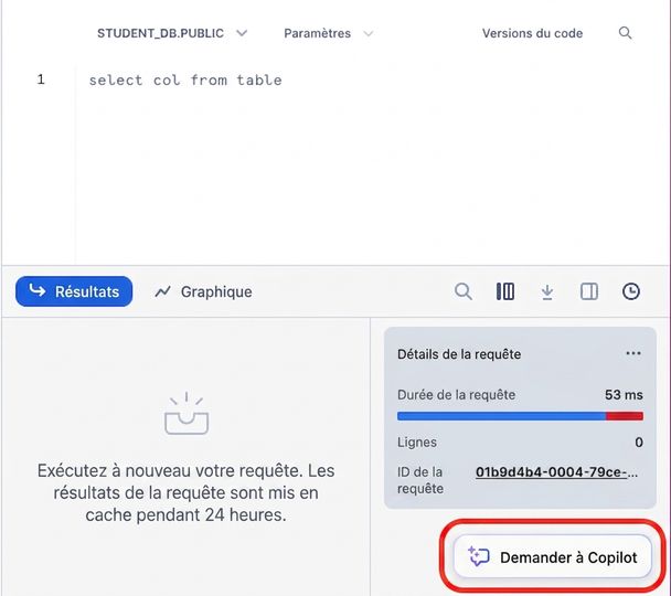 Image du bouton Ask CoPilot