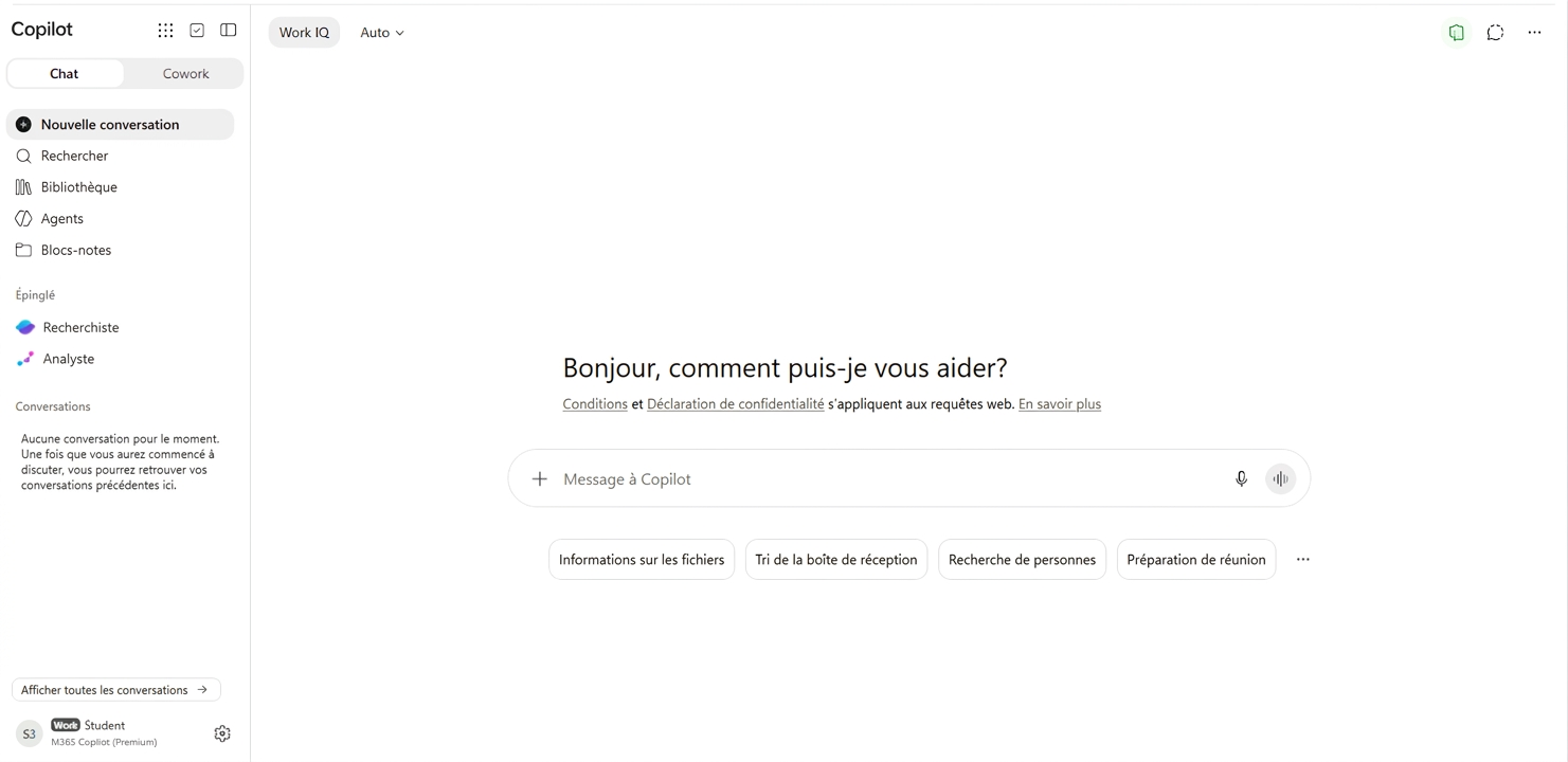 L'application de clavardage Microsoft Copilot, ouverte avec un compte professionnel
