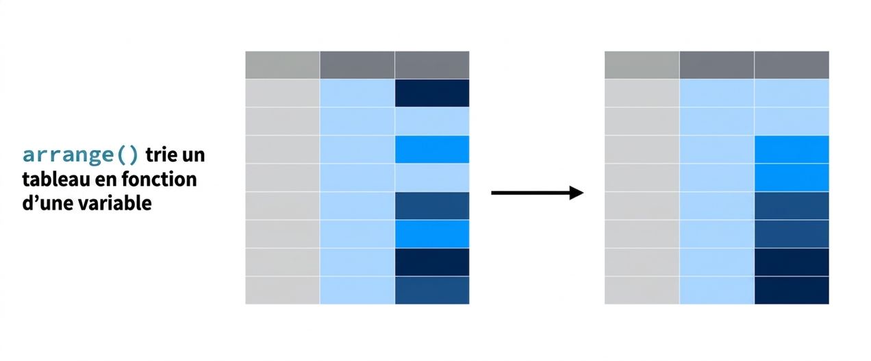 arrange_verb2.png