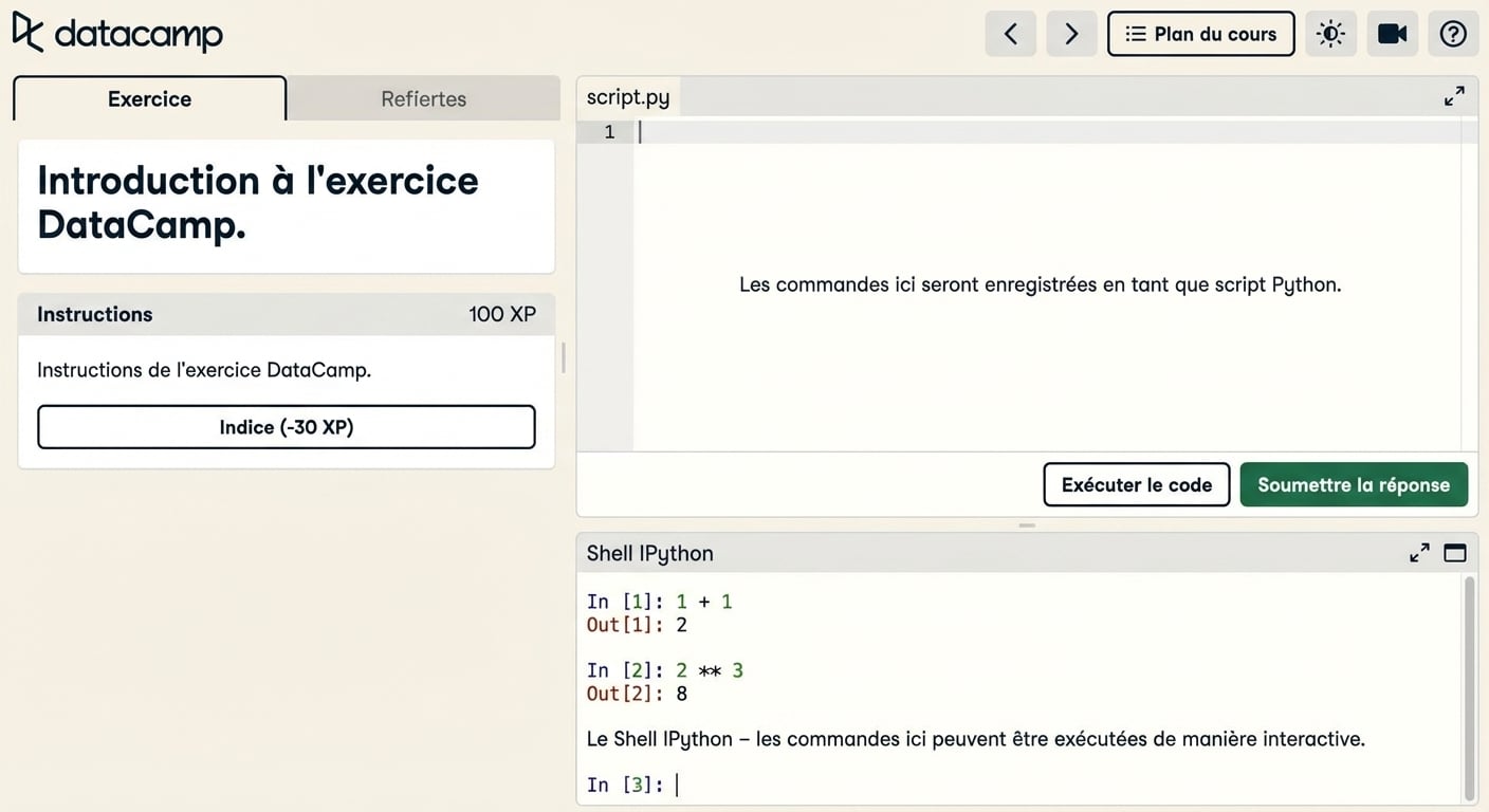 Capture d'écran DataCamp