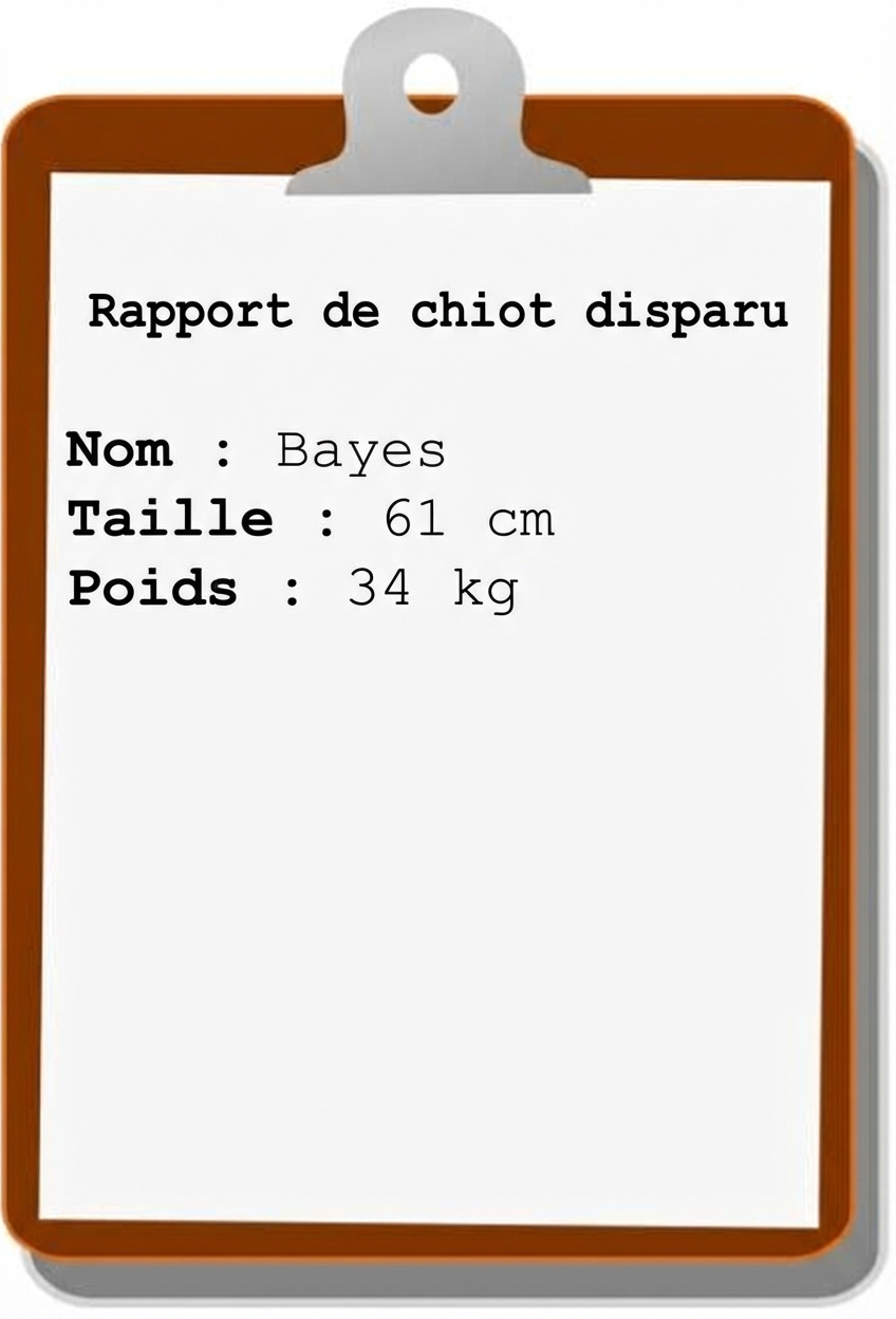 missing-puppy-report