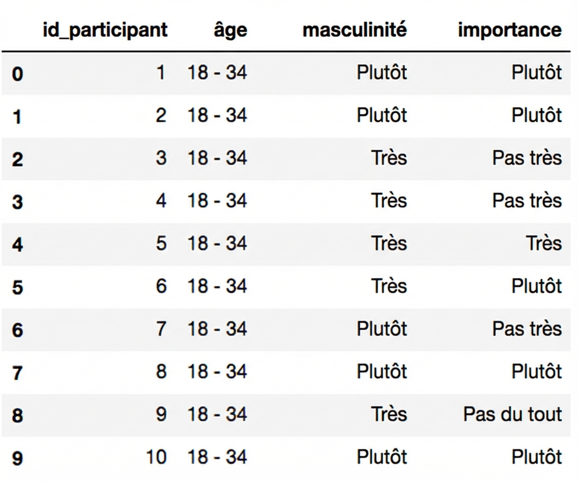 Les 10 premières lignes du DataFrame masculinité