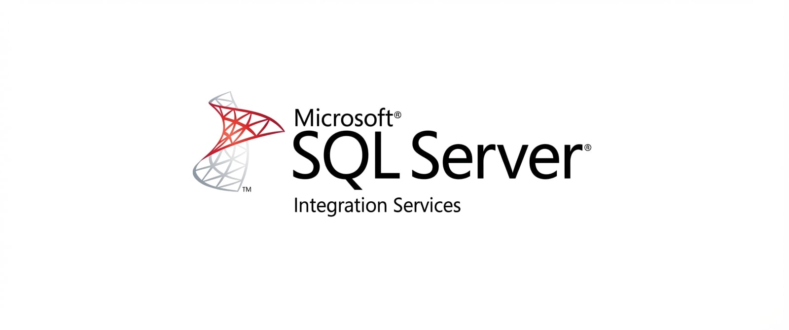 Logo SSIS