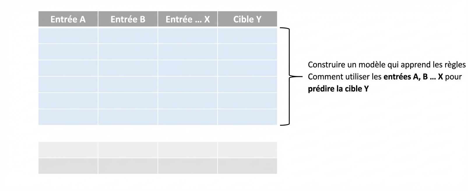 début de l'entraînement du modèle