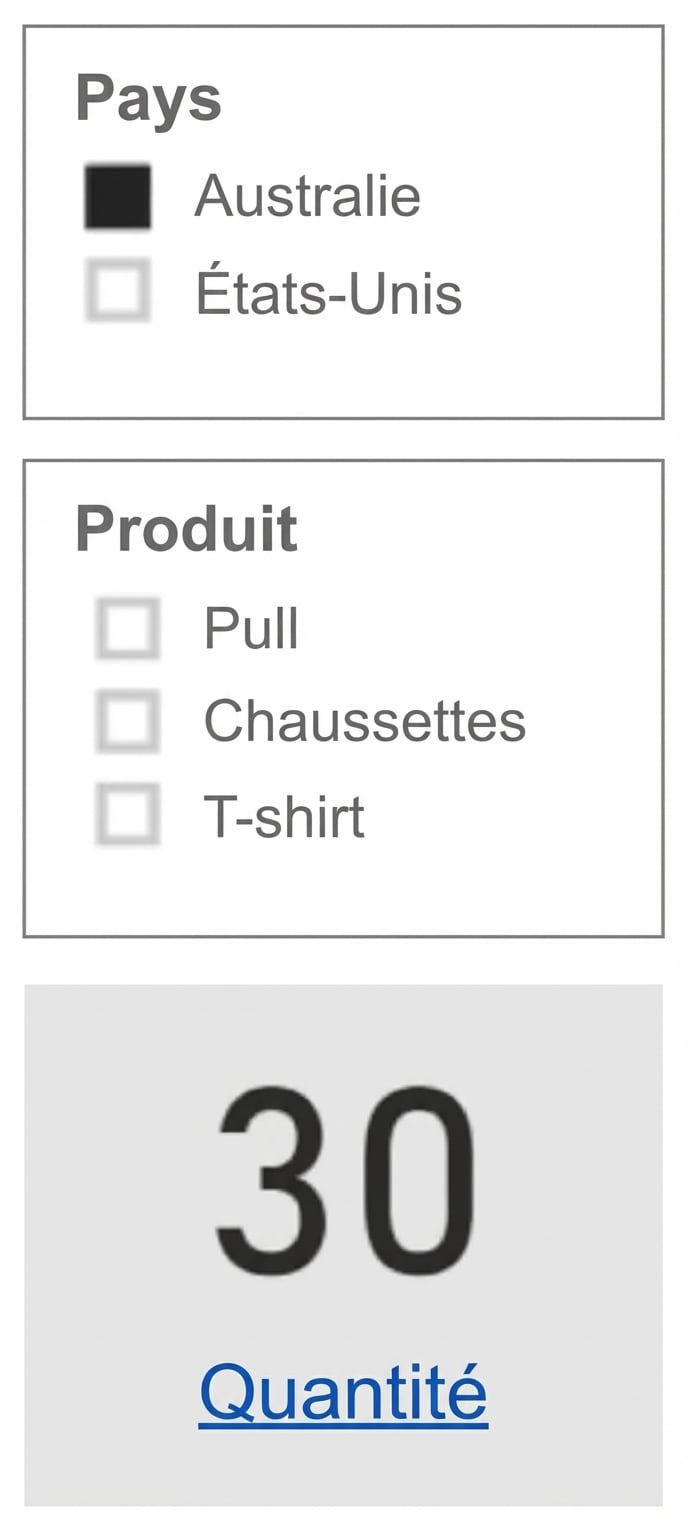 Vue de rapport avec un segment Pays, un segment Produit et une carte de la quantité. Le segment Produit affiche tous les produits possibles.