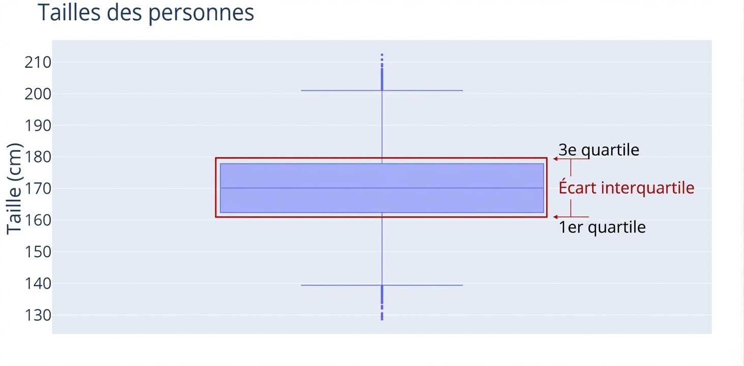 Un boîte à moustaches des tailles de personnes. Les tailles, en centimètres, sont sur l’axe des y. Un contour rouge entoure la « boîte » du boxplot.