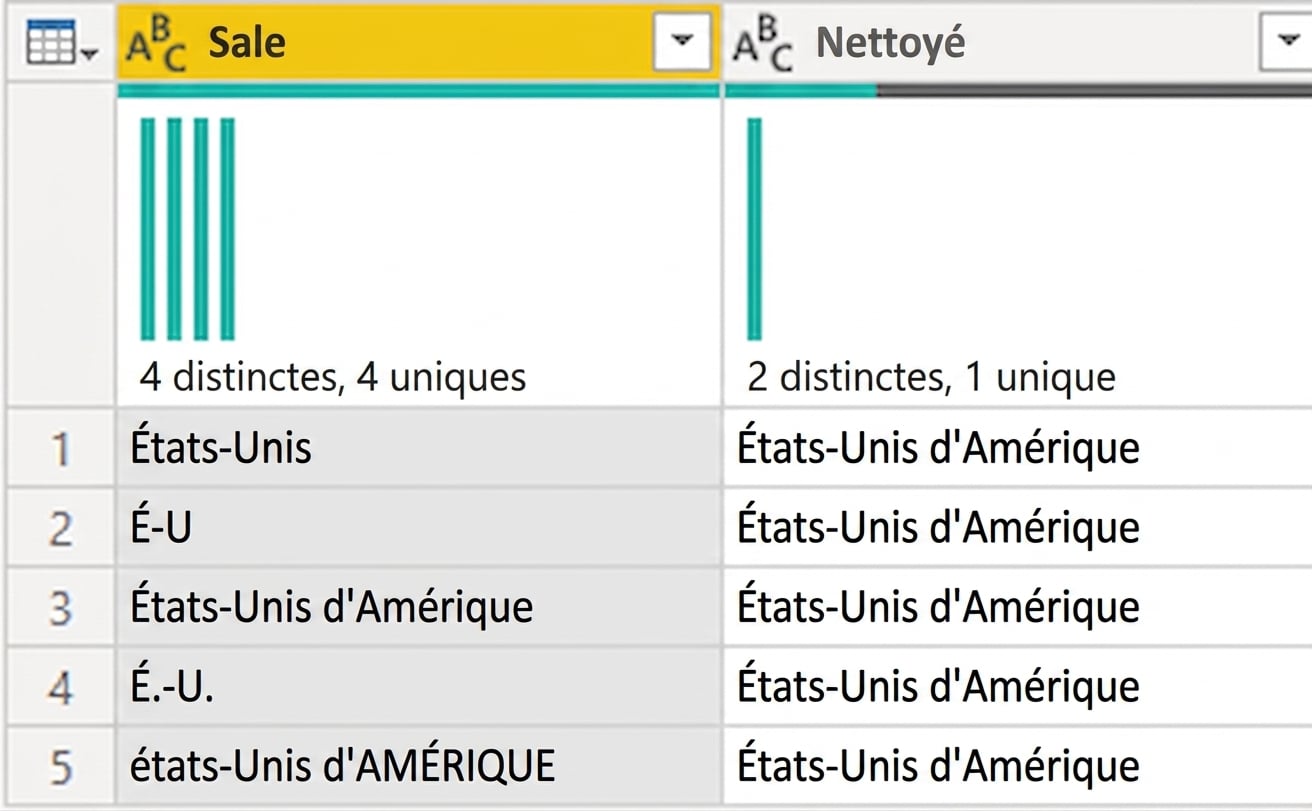 Une capture d'écran de Power Query montrant une table avec deux colonnes, l'une contenant des données brutes et l'autre des données nettoyées.