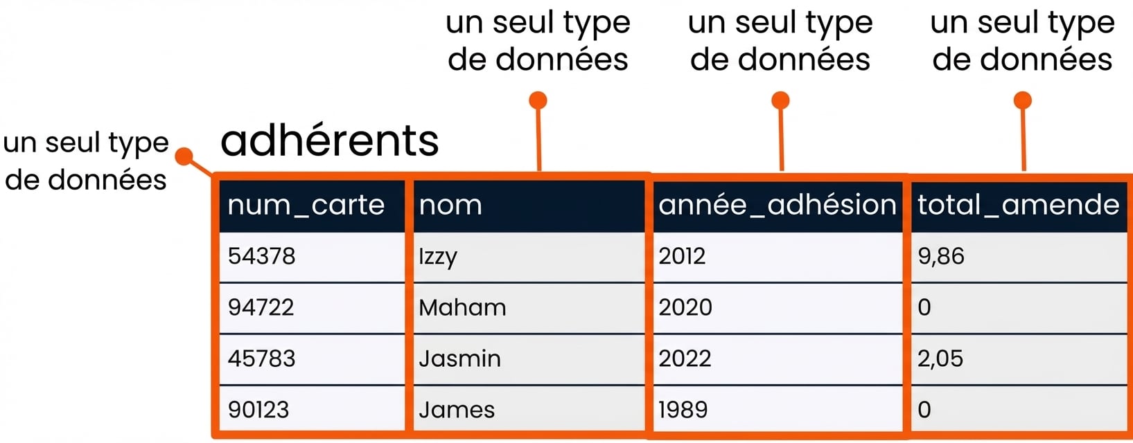le tableau des clients avec chaque champ mis en évidence et indiquant qu'il s'agit d'un type de données