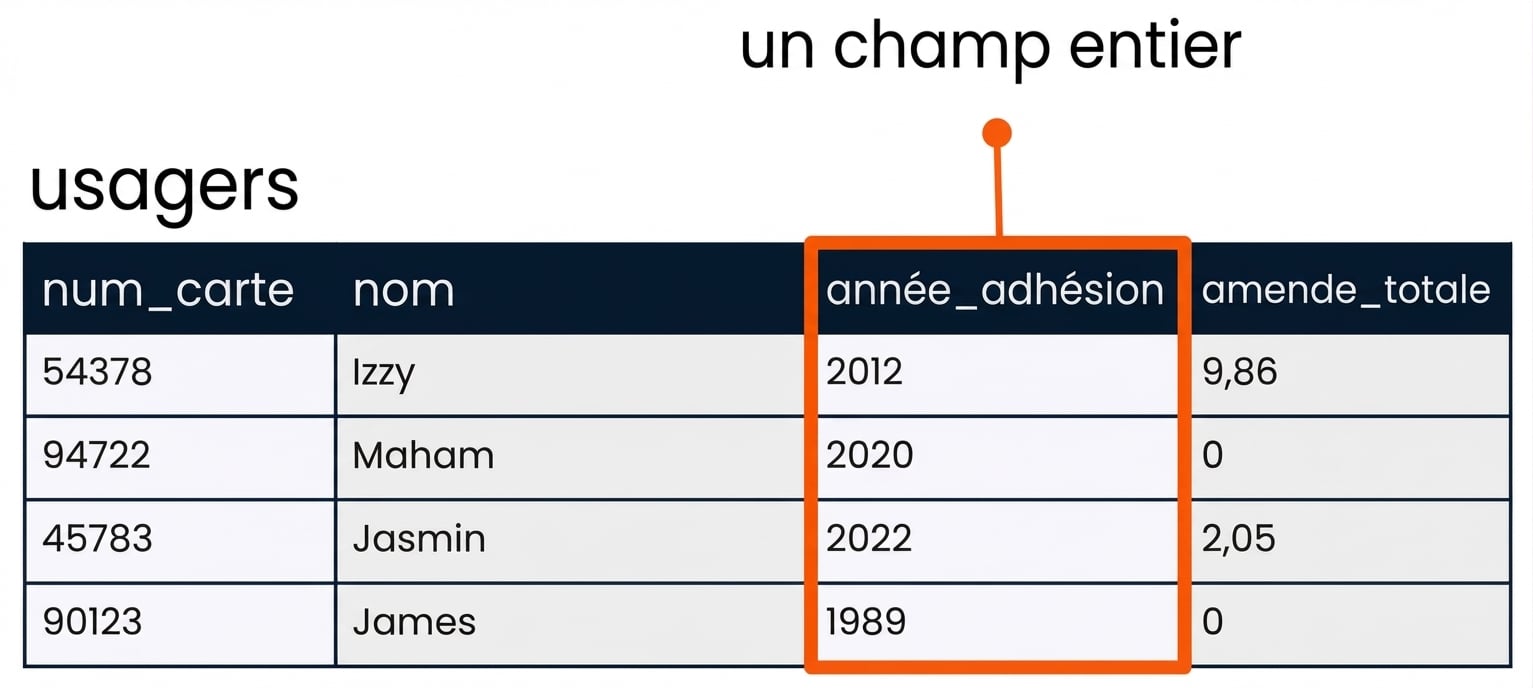 le tableau des clients avec le champ member_year mis en évidence à titre d'exemple de champ entier