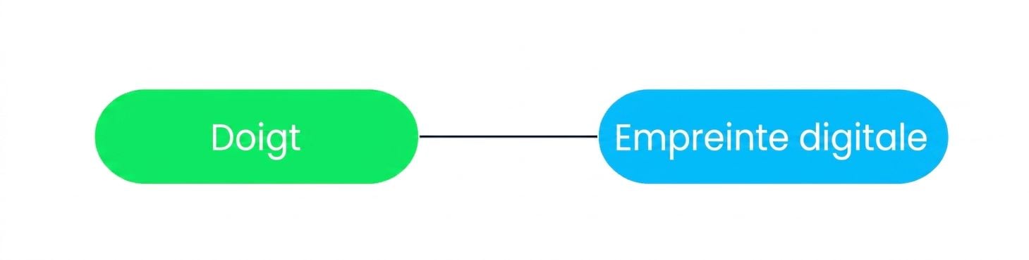 Un diagramme montrant qu’une empreinte digitale ne peut être associée qu’à un seul voyageur.