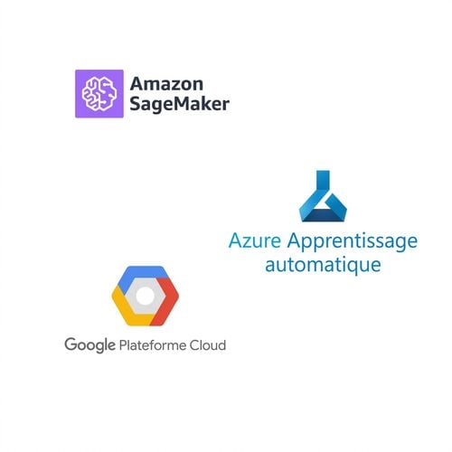 Machine learning platform tools