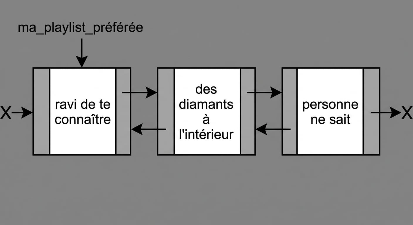 Représentation d’une liste doublement chaînée.