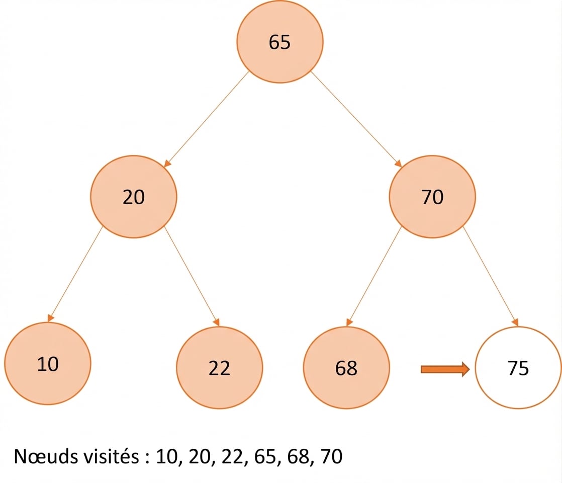 Représentation graphique d’un parcours infixe sur un arbre binaire de recherche.