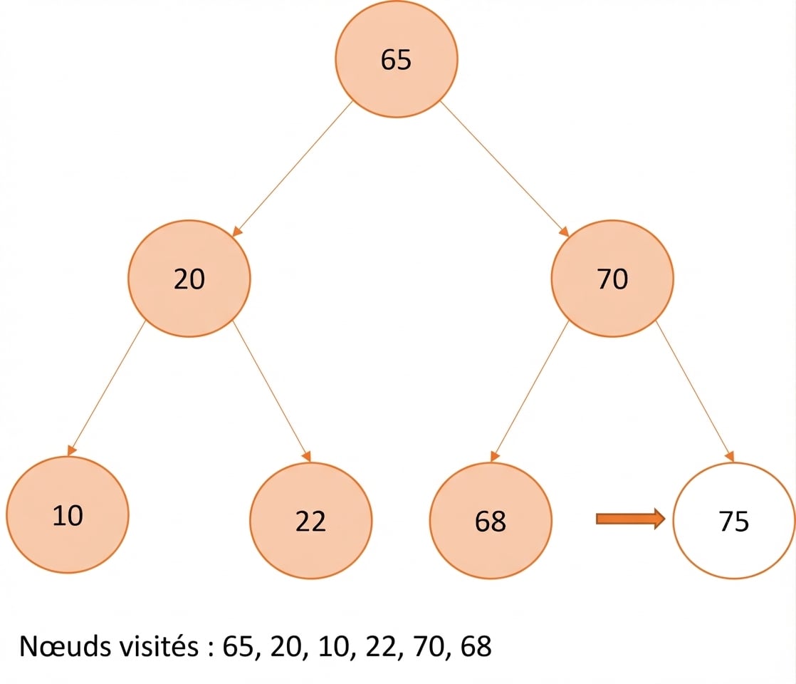Représentation graphique d’un parcours préfixe sur un arbre binaire de recherche.