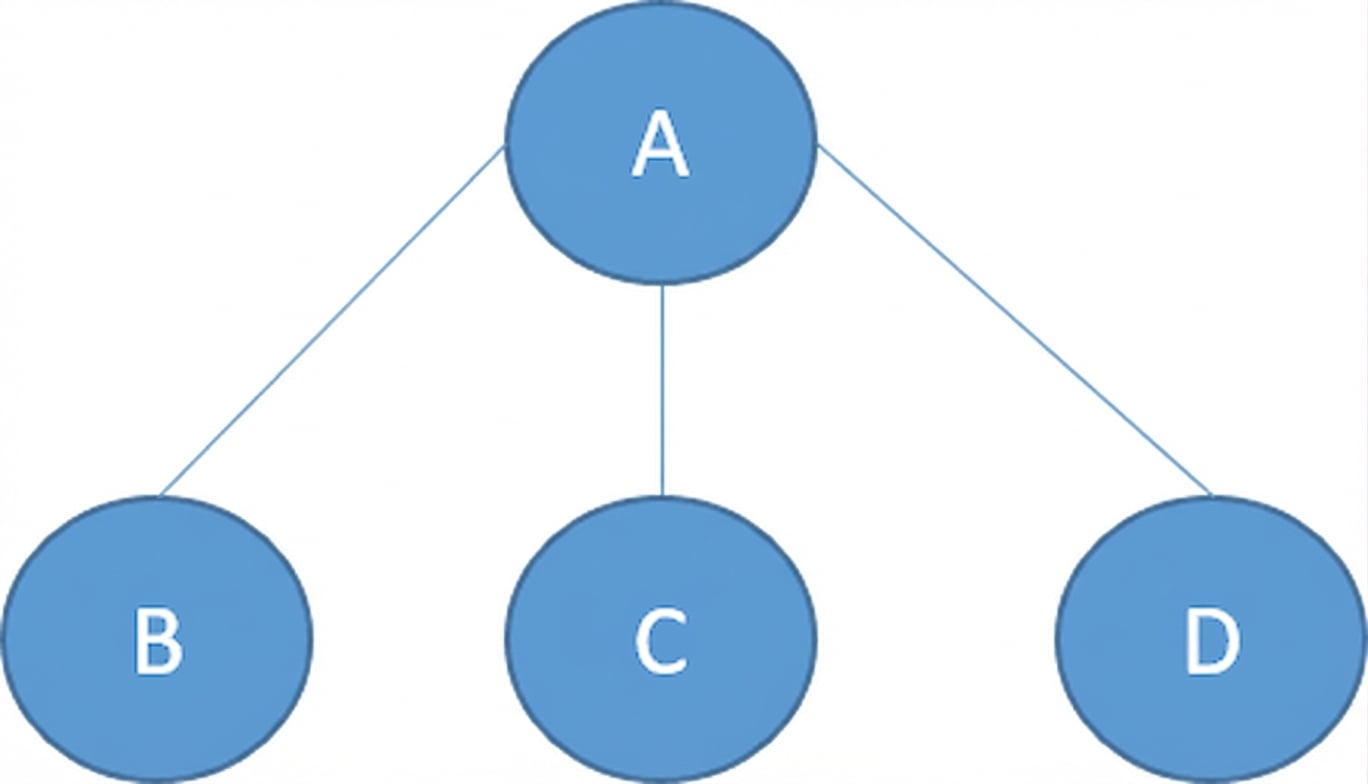Image d’un arbre avec des nœuds.