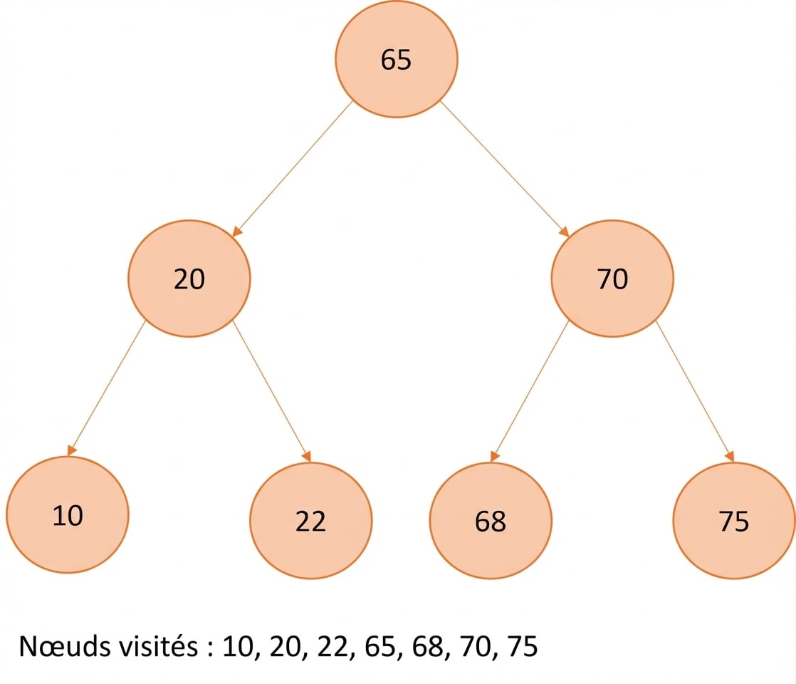 Représentation graphique d’un parcours infixe sur un arbre binaire de recherche.