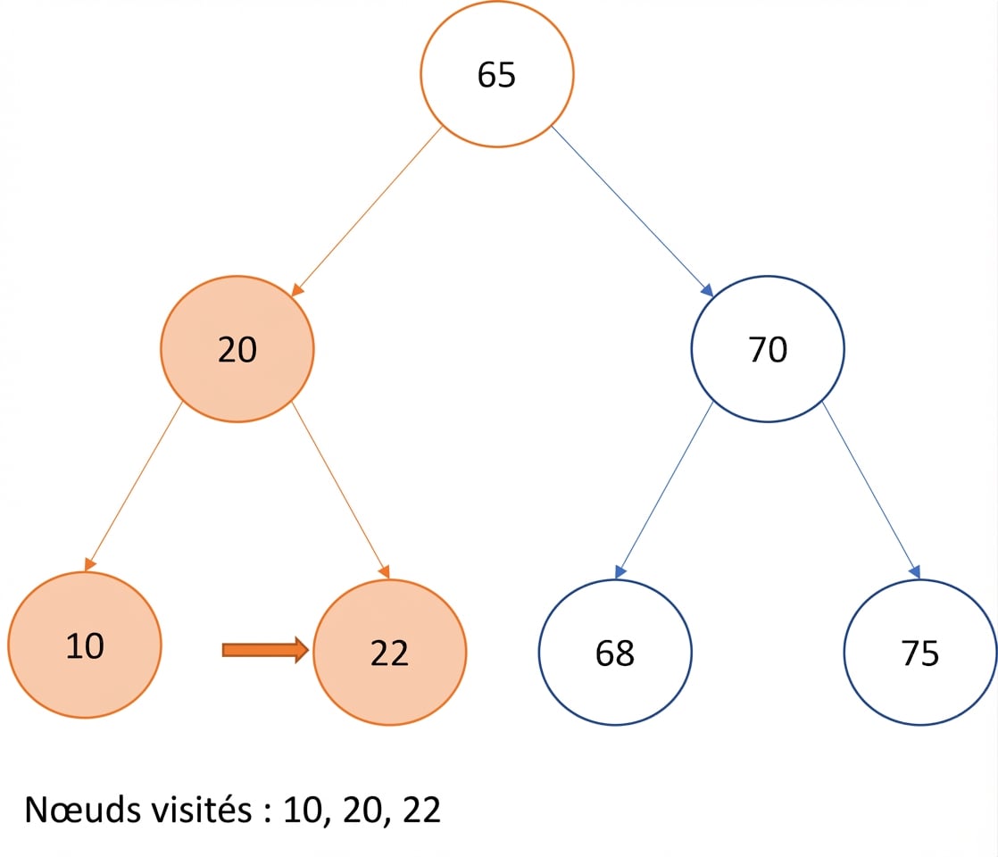 Représentation graphique d’un parcours infixe sur un arbre binaire de recherche.