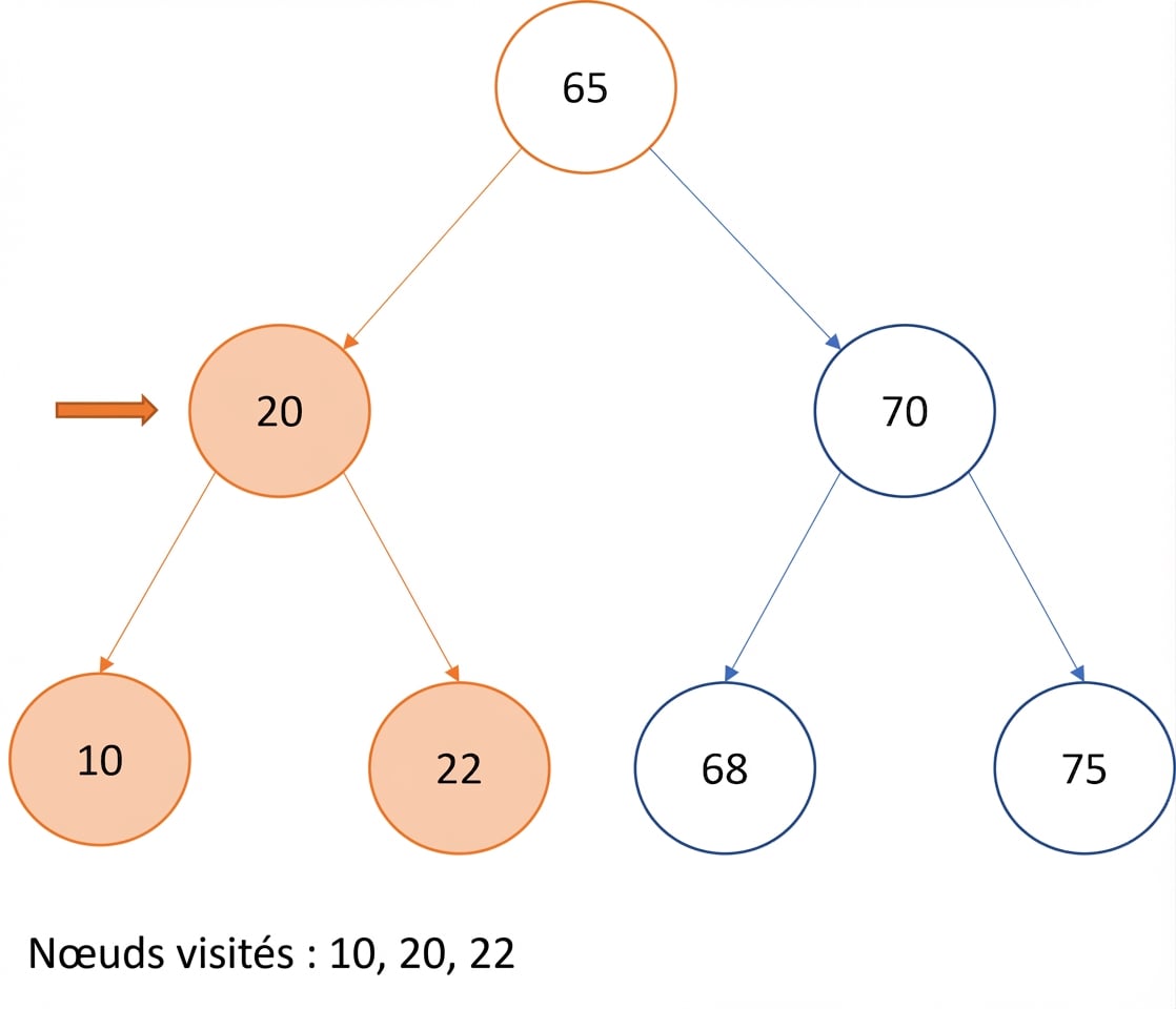 Représentation graphique d’un parcours infixe sur un arbre binaire de recherche.
