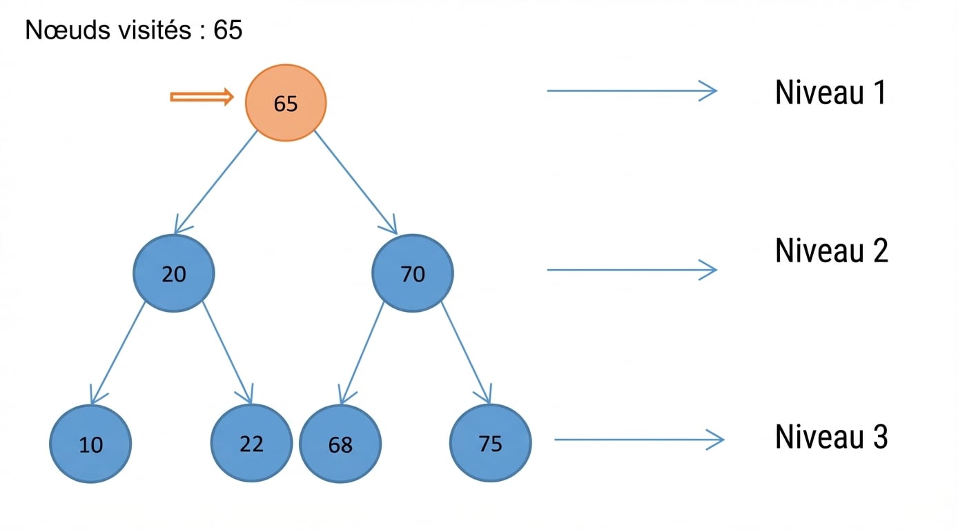 Représentation graphique d’un parcours en largeur sur un arbre binaire de recherche.