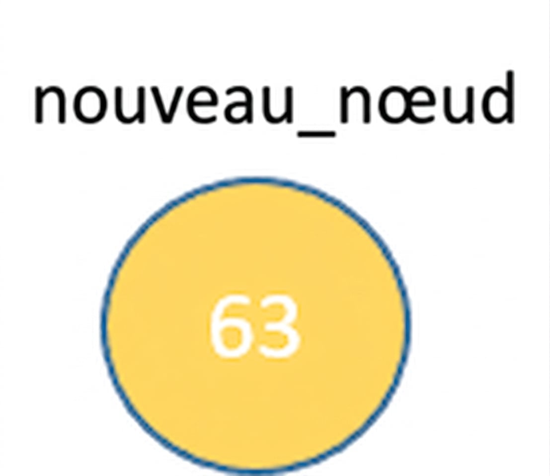 Représentation graphique d’un nouveau nœud.