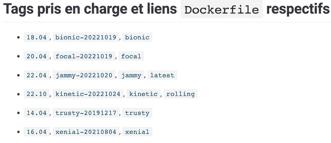 Les images Docker disposent de nombreuses versions ou balises. L'exemple ci-dessous présente six versions des images Ubuntu. Par exemple, la version 18.04, qui porte également la balise bionic.