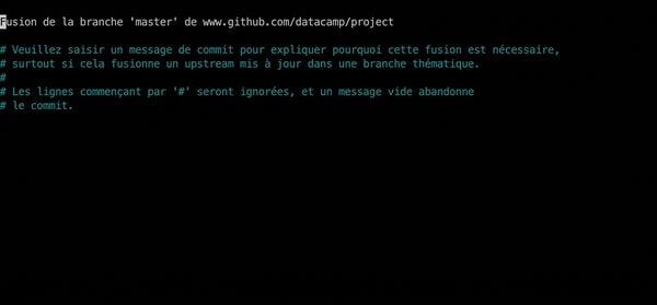 git_pull_nano_editor.gif