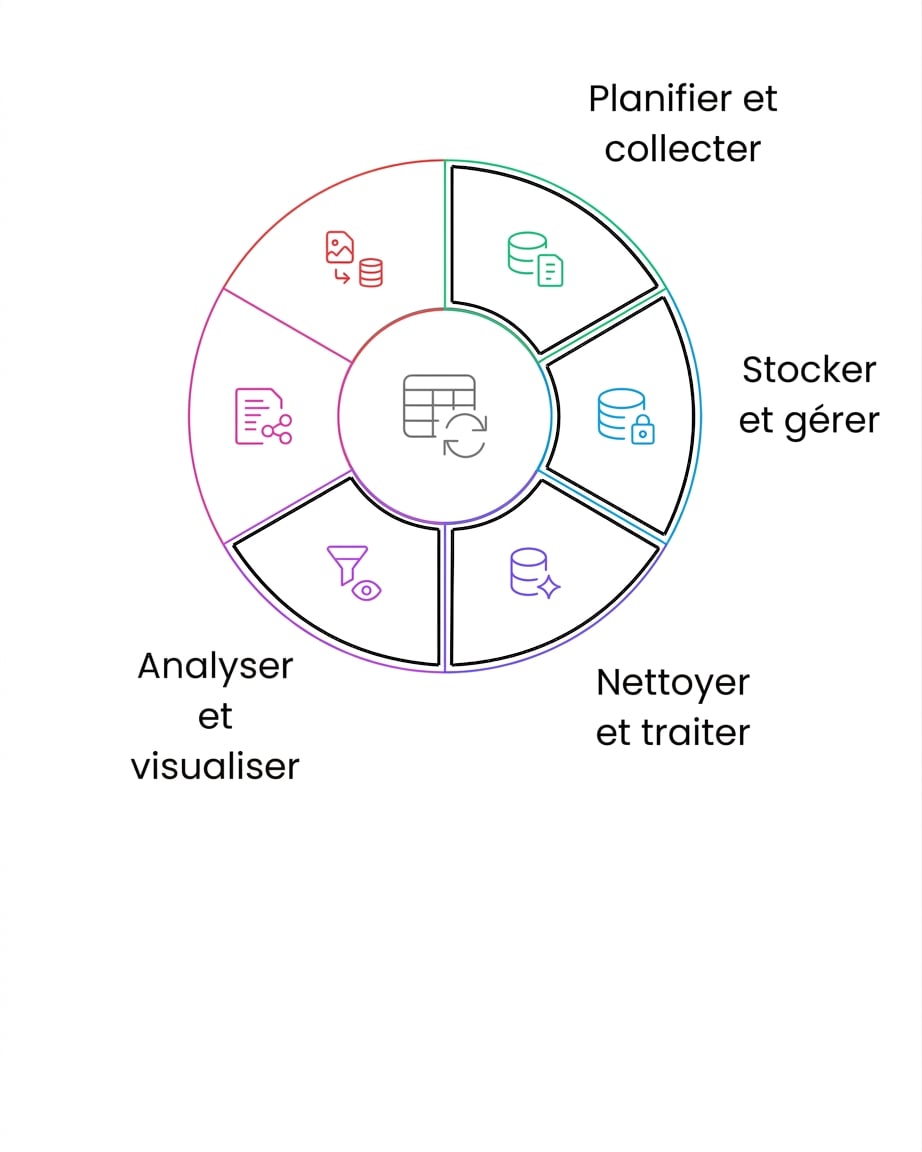 cycle de vie des données analyse et visualisation