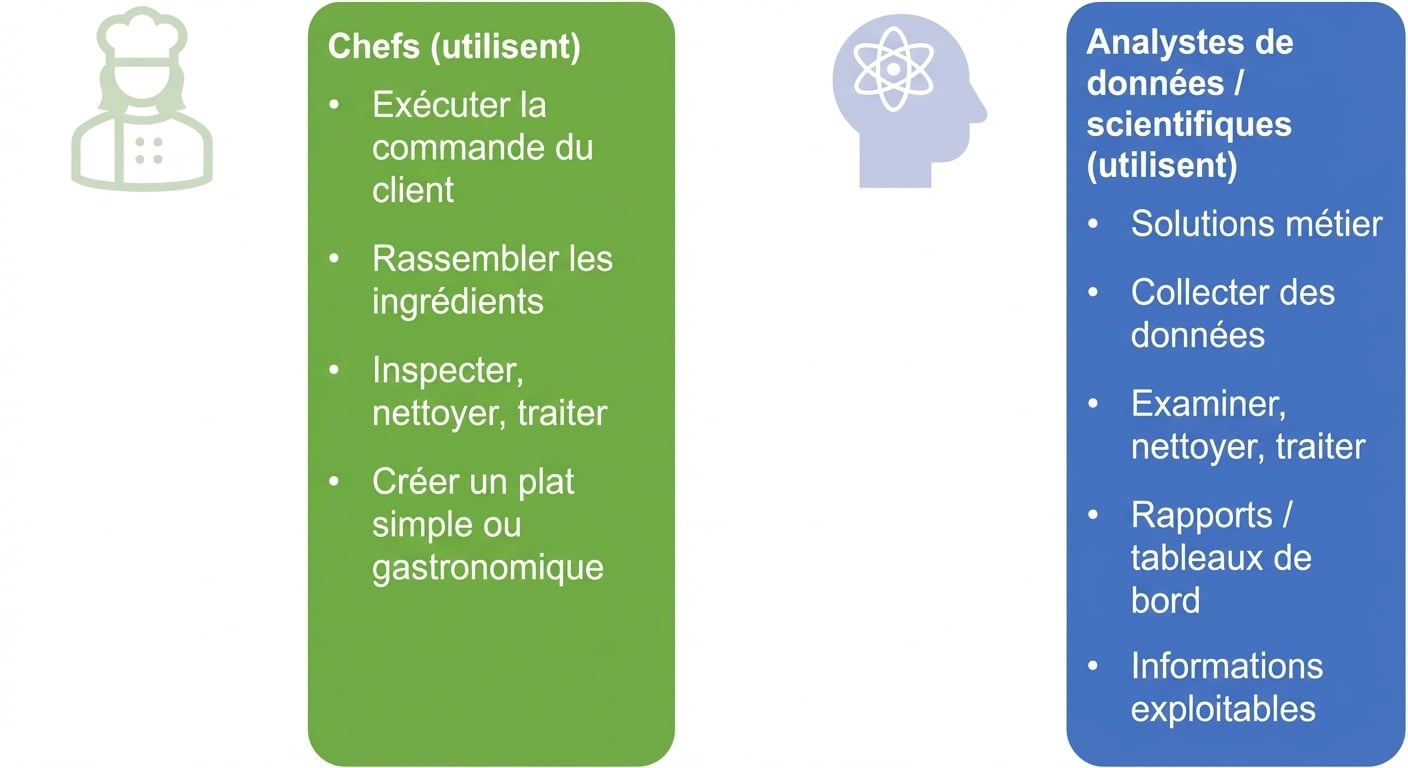 Responsabilités des chefs, des data analysts et des data scientists.