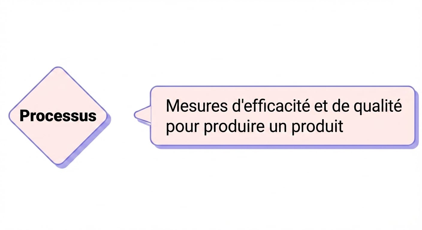 process