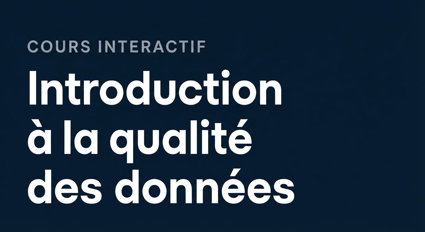 cours sur la qualité des données