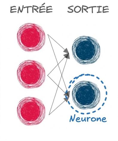 Illustration d’une couche d’entrée et d’une couche de sortie avec des flèches reliant les couches et un cercle autour d’un neurone de sortie
