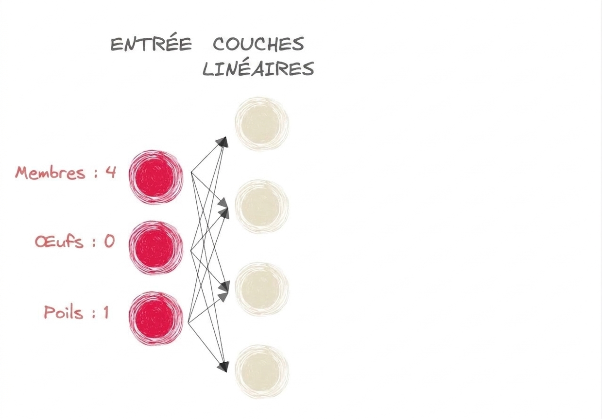 Schéma d’une partie d’un réseau neuronal avec des entrées et des couches linéaires