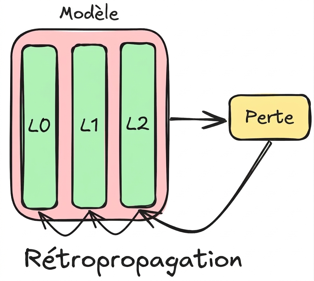 Schéma de rétropropagation