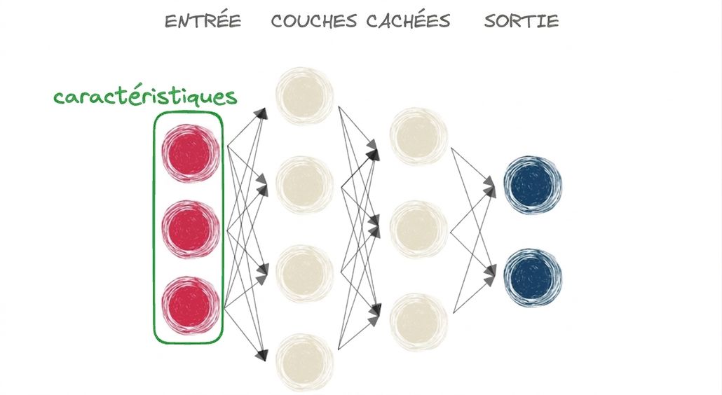 Un schéma représentant un réseau neuronal avec une entrée, une couche cachée et une sortie