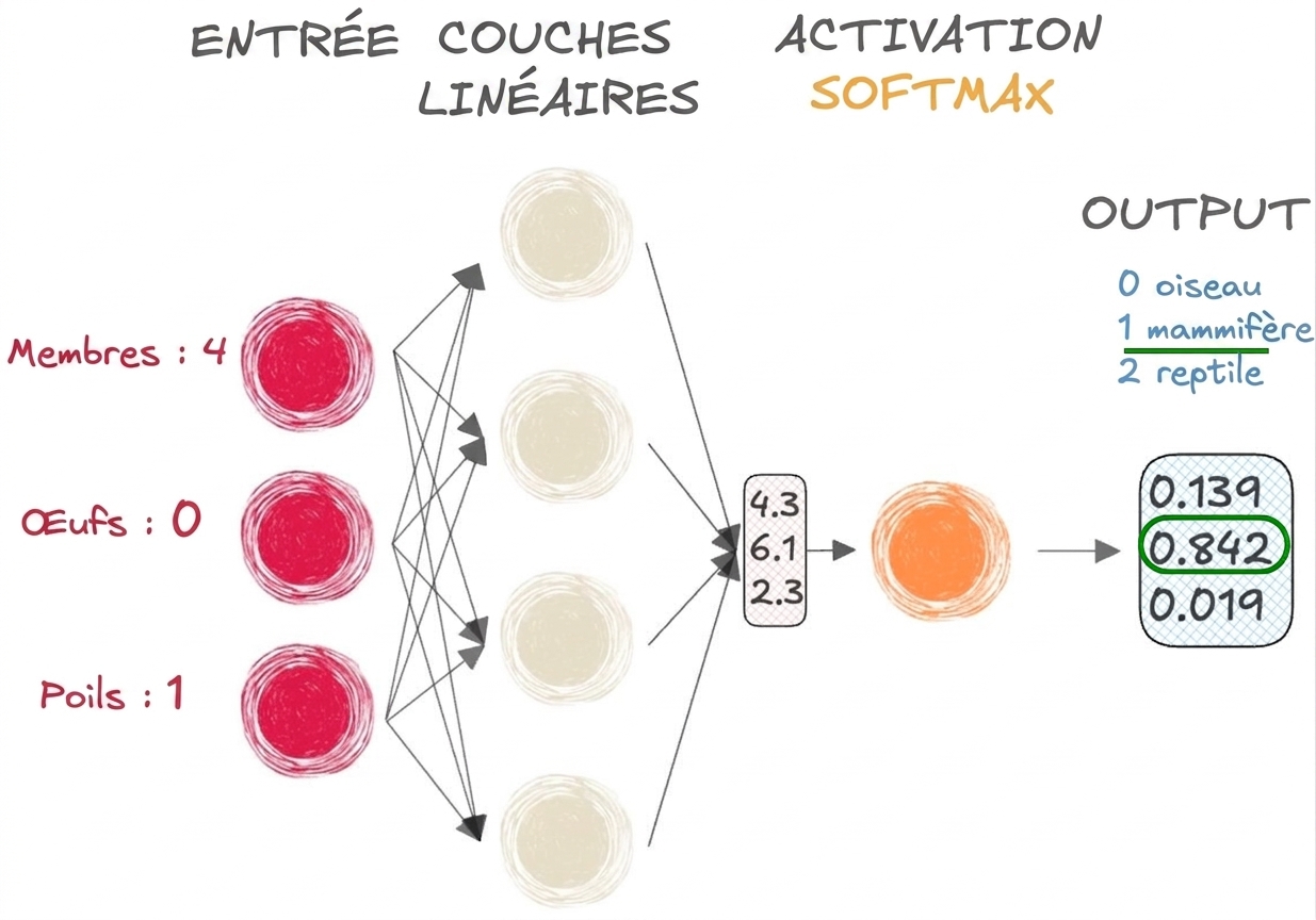 Schéma d’une partie d’un réseau neuronal avec des entrées, un vecteur en sortie des couches linéaires, une fonction d’activation softmax et une sortie
