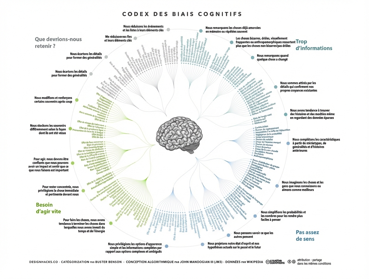 Illustration des différents biais cognitifs.