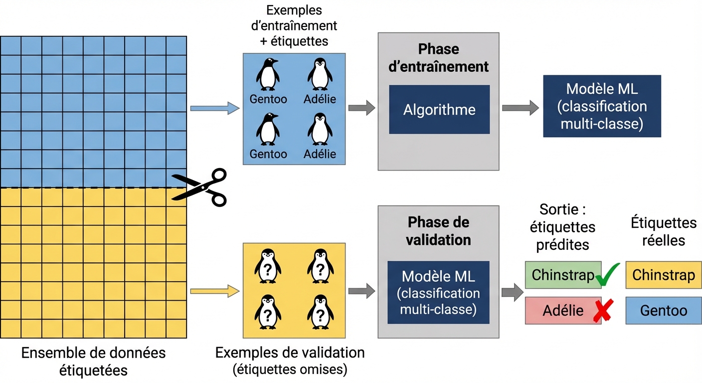 Comparaison prédictions/étiquettes réelles