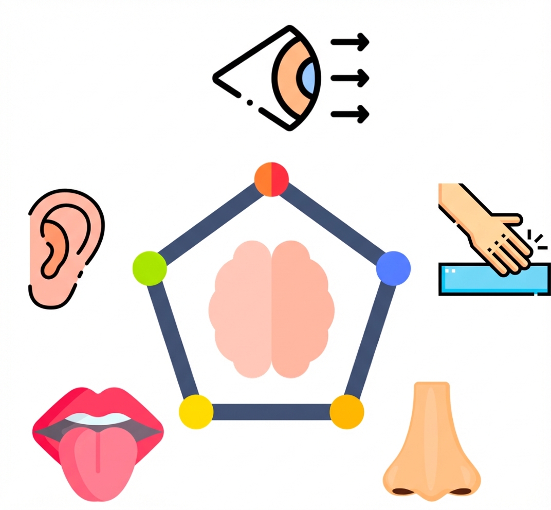 Perception de l'environnement